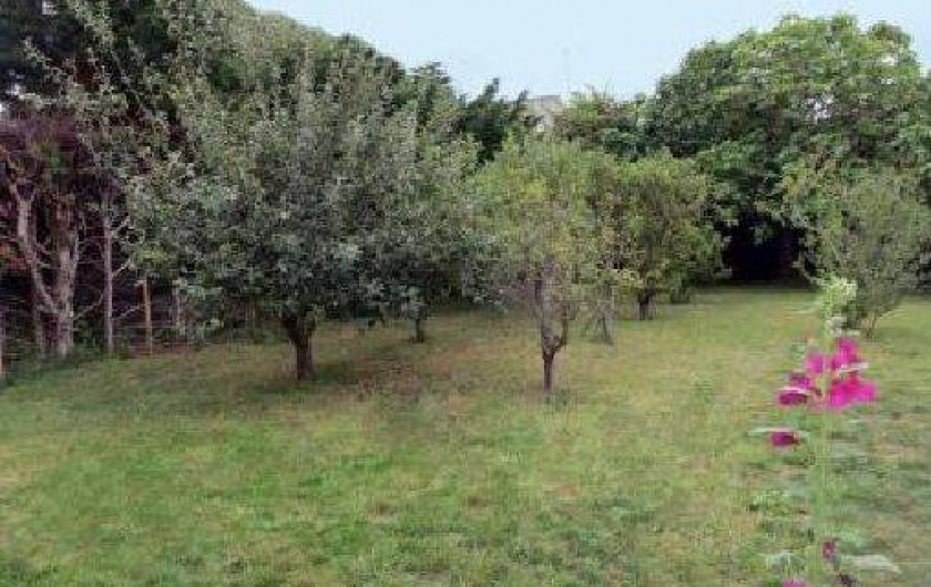 Location de vacances - Maison - Villa à Saint-Clément-des-Baleines