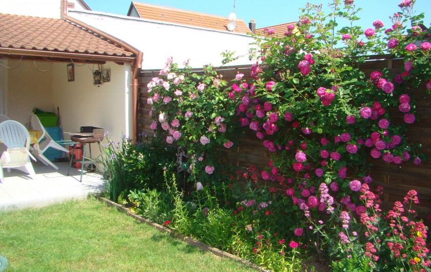 Location de vacances - Gîte à Kintzheim - Jardin