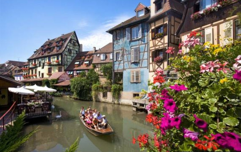 Location de vacances - Gîte à Kintzheim - Colmar