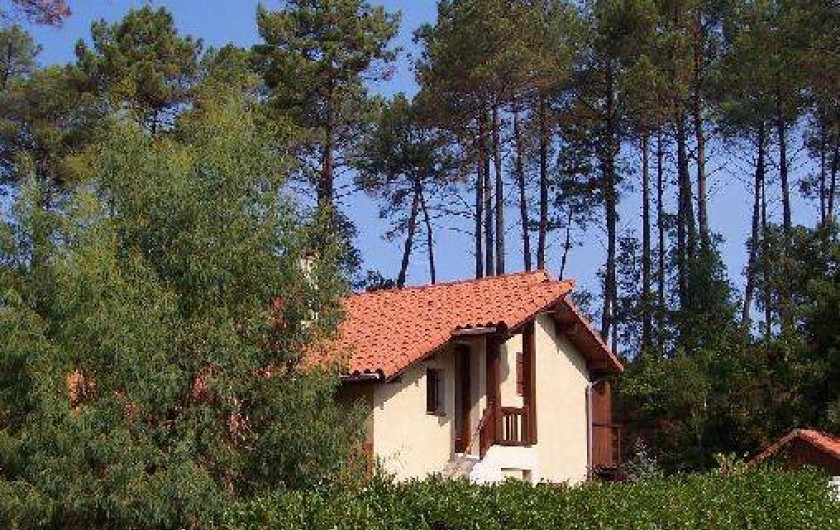Location de vacances - Villa à Messanges - vue coté est
