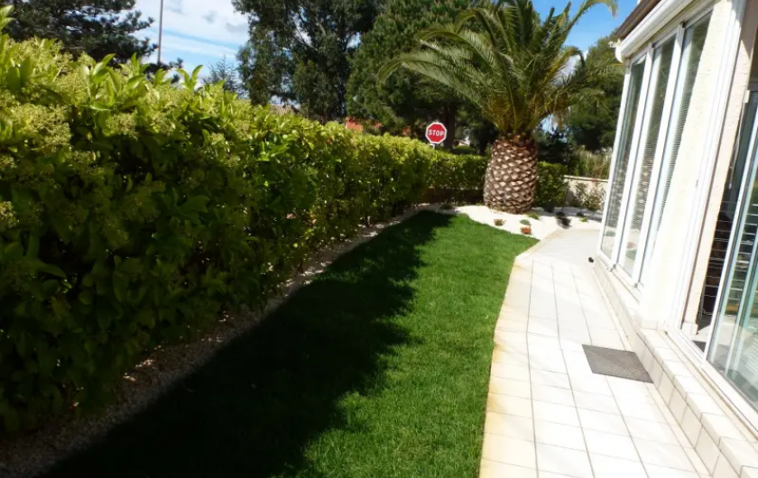 Location de vacances - Appartement à Saint-Cyprien Plage