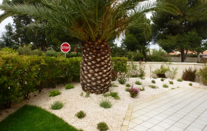 Location de vacances - Appartement à Saint-Cyprien Plage