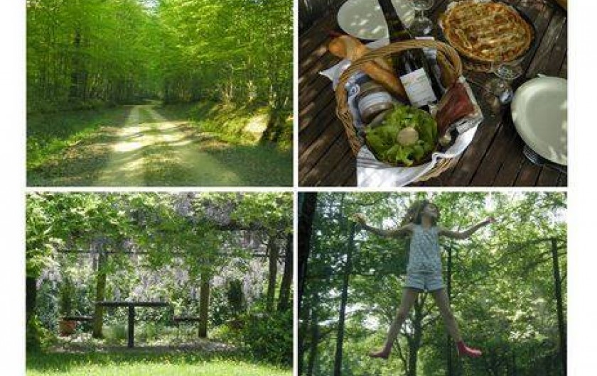 Location de vacances - Gîte à Donzy