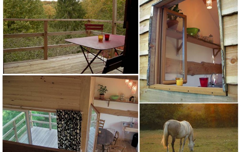 Location de vacances - Gîte à Donzy - Cabane perchée tout confort