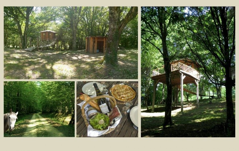 Location de vacances - Gîte à Donzy - Cabane chambre d'hôte