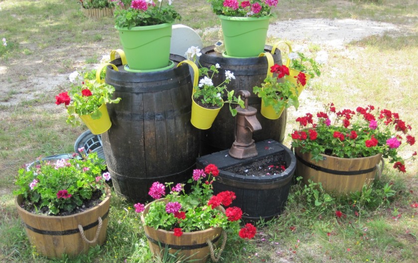 Location de vacances - Chambre d'hôtes à Soulac-sur-Mer - Soulac'Ouette - Barriques en fleurs
