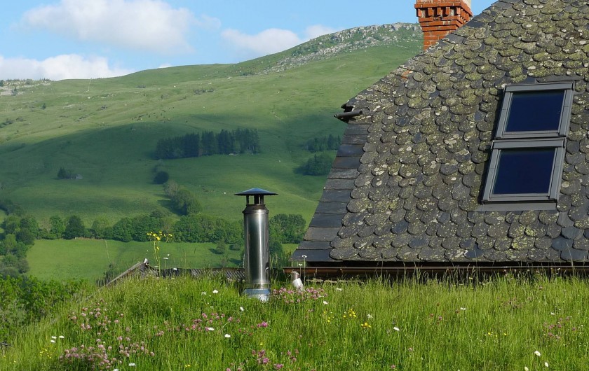 Location de vacances - Chambre d'hôtes à Lavigerie