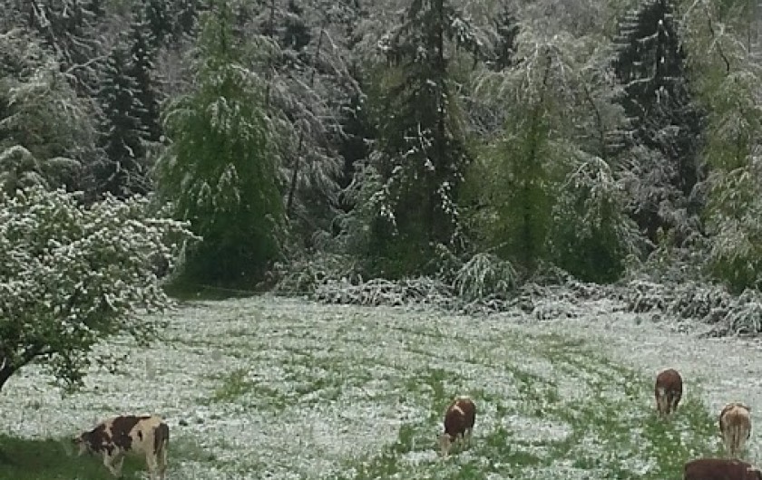 Location de vacances - Appartement à Charvonnex - nos voisines