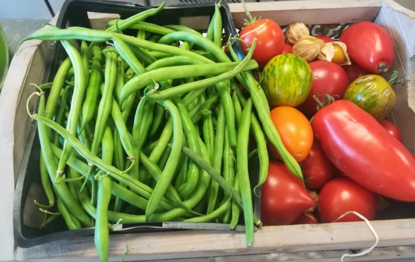 Location de vacances - Appartement à Charvonnex - la récolte au potager