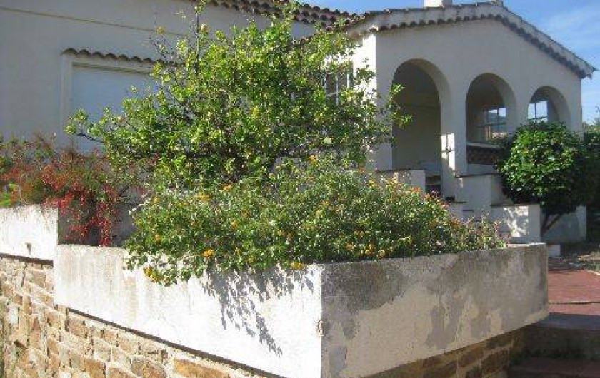 Location de vacances - Villa à Le Lavandou