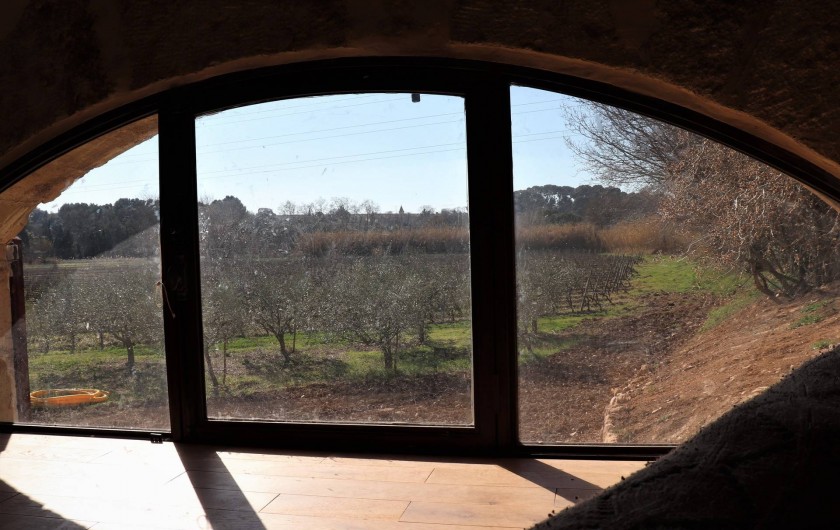 Location de vacances - Gîte à Béziers - Vue sur les vignes et les oliviers