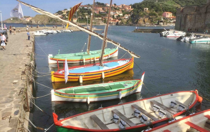 Location de vacances - Appartement à Collioure