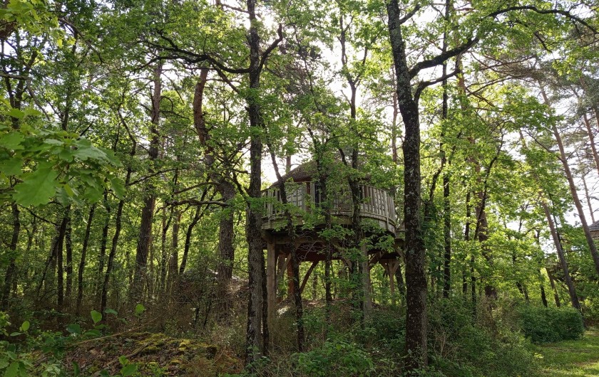 Location de vacances - Cabane dans les arbres à Rivière-sur-Tarn - La Cabane de Lily