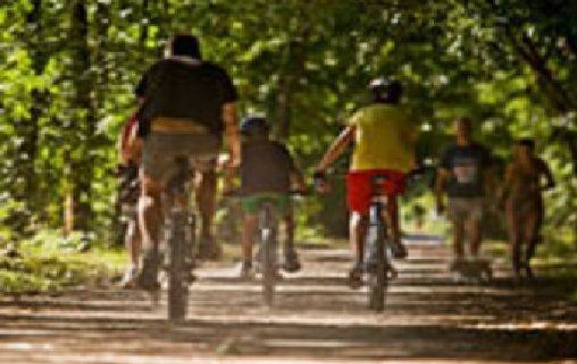 Location de vacances - Gîte à Mons