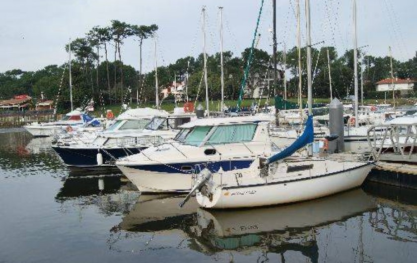 Location de vacances - Appartement à Capbreton