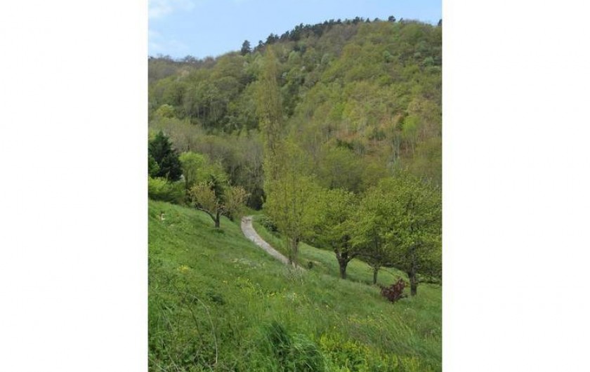 Location de vacances - Gîte à Saint-Étienne-de-Serre - L'Ardèche coin de nature