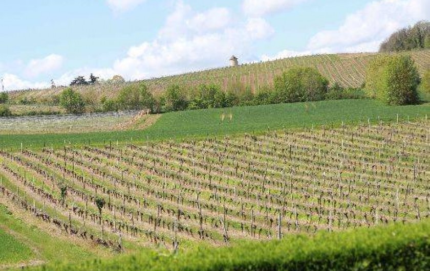 Location de vacances - Gîte à Caussens