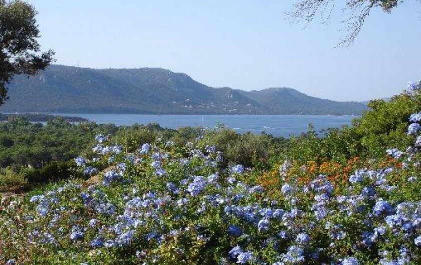 Location de vacances - Villa à Porto-Vecchio