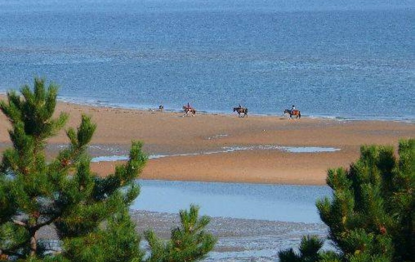 Location de vacances - Chambre d'hôtes à Bayeux