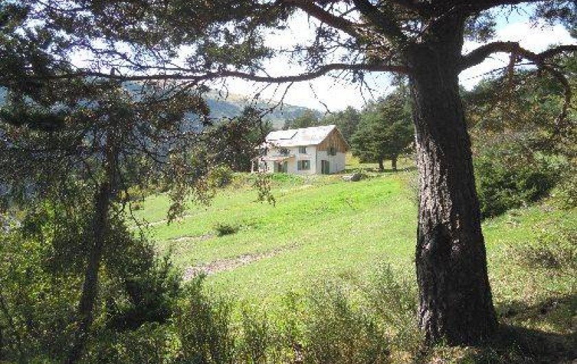 Location de vacances - Gîte à Auzet