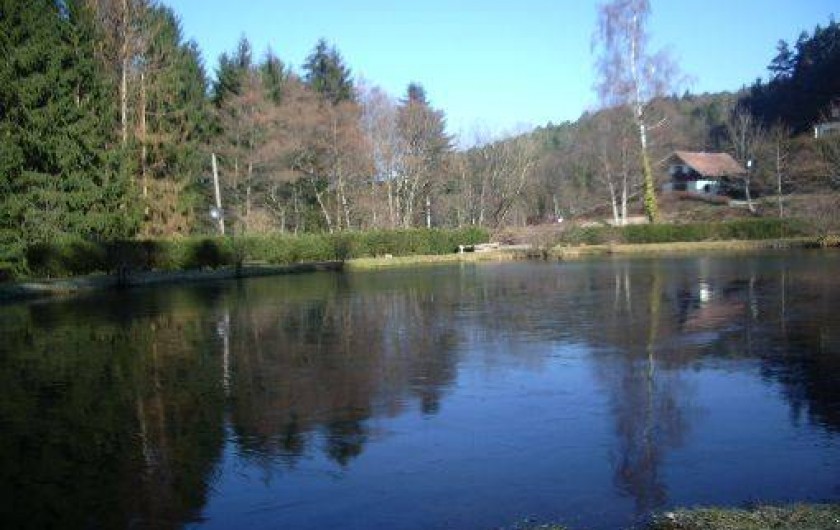Location de vacances - Chalet à Luttenbach-prés-Munster