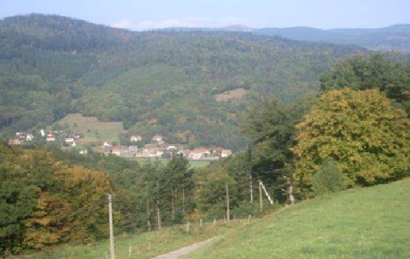 Location de vacances - Chalet à Luttenbach-prés-Munster