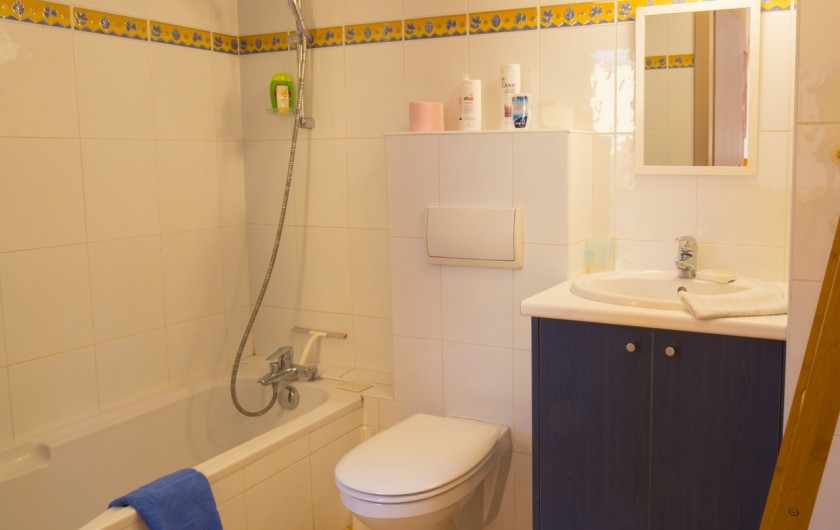 Location de vacances - Maison - Villa à Rosheim - Salle de bains avec baignoire - toilettes - rangements
