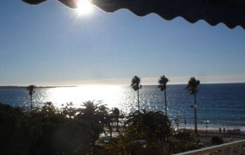 Location de vacances - Appartement à Cannes