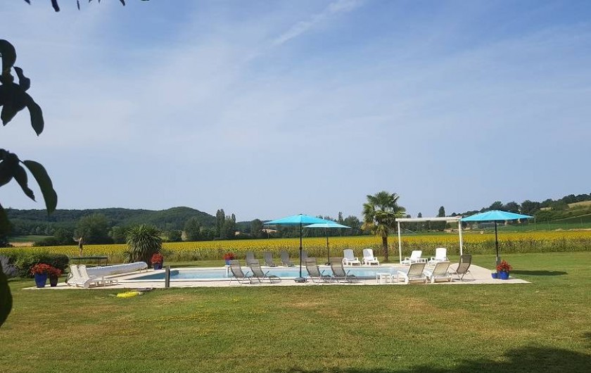 Location de vacances - Gîte à Roquecor - Piscine au milieu des champs