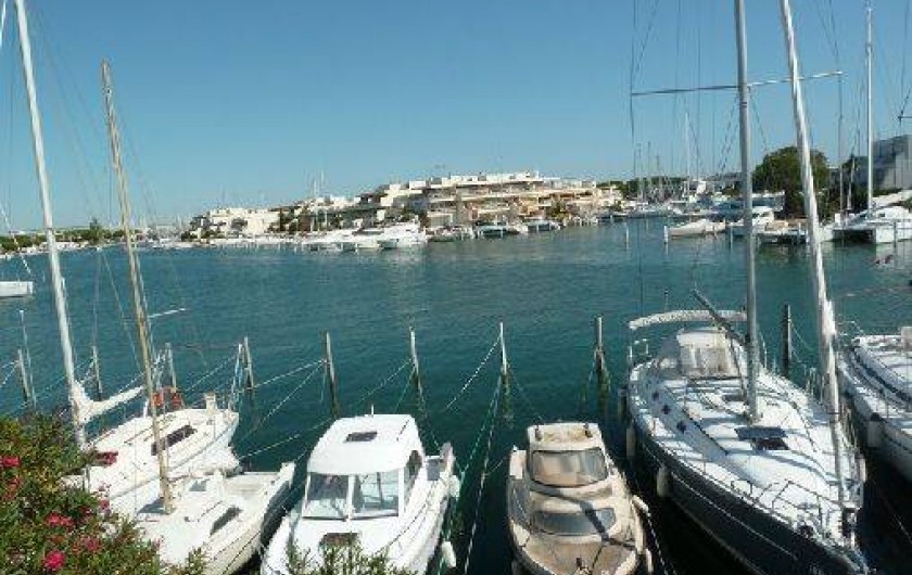 Location de vacances - Appartement à Le Grau-du-Roi