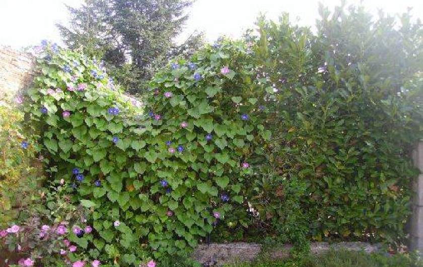Location de vacances - Gîte à La Chapelle-aux-Naux - LES FLEURS
