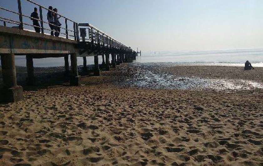 Location de vacances - Maison - Villa à Lanton