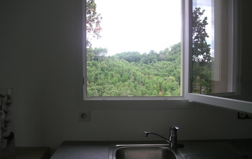 Location de vacances - Maison - Villa à Générargues - vue de la fenêtre cuisine