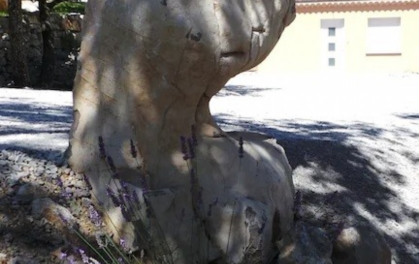 Location de vacances - Villa à Saint-Alban-Sous-Sampzon