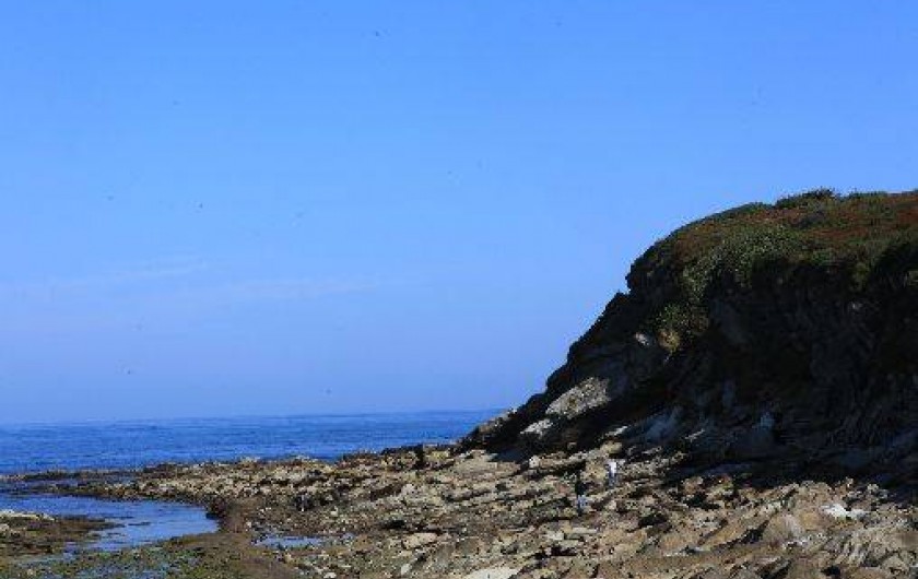 Location de vacances - Appartement à Hendaye