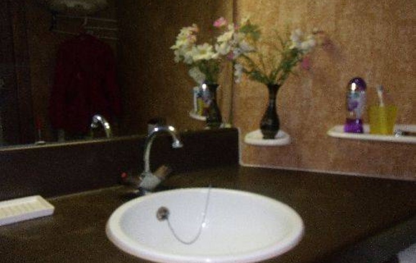 Location de vacances - Appartement à Saint-Cyprien