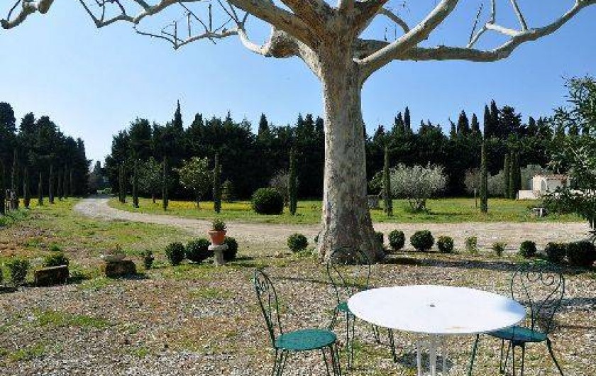 Location de vacances - Maison - Villa à Saint-Rémy-de-Provence