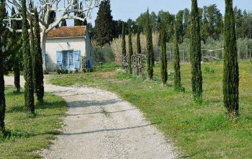 Location de vacances - Maison - Villa à Saint-Rémy-de-Provence