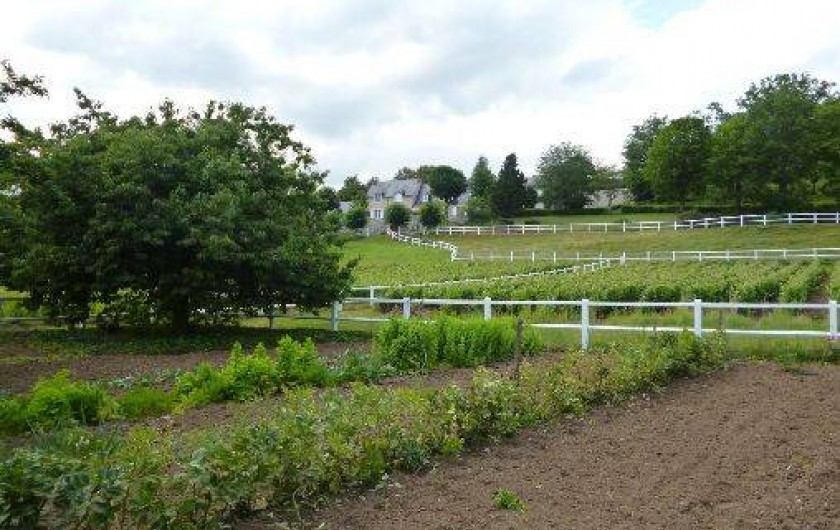 Location de vacances - Gîte à Noizay