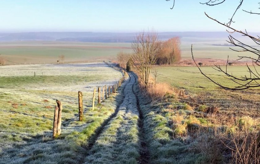 Location de vacances - Château - Manoir à Mesnil-Verclives - une petite ballade juste à coté dans les champs de lin et colza
