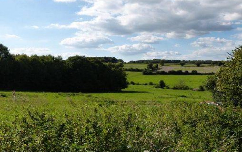 Location de vacances - Gîte à Neuvy-sur-Loire