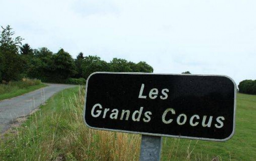 Location de vacances - Gîte à Neuvy-sur-Loire