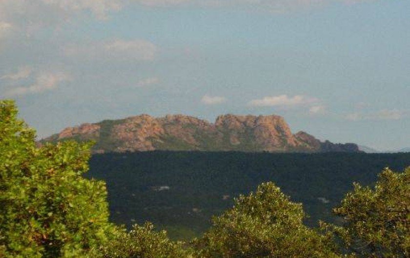 Location de vacances - Villa à Le Muy