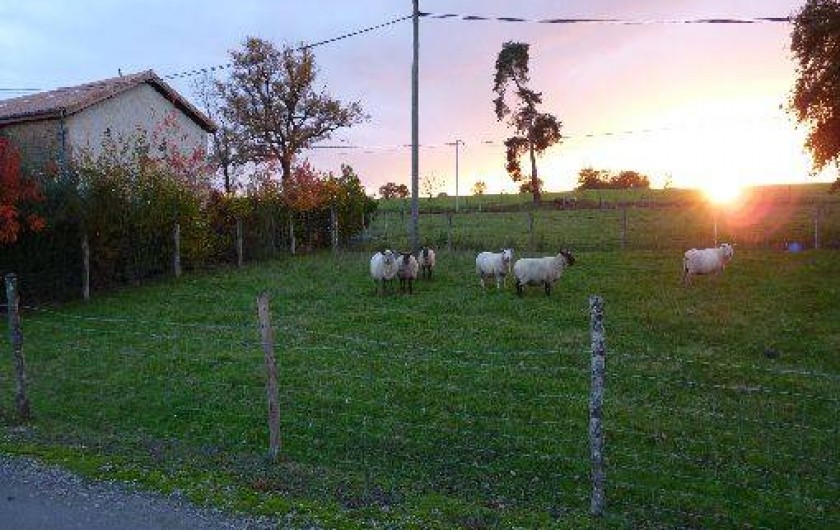 Location de vacances - Gîte à Ambernac