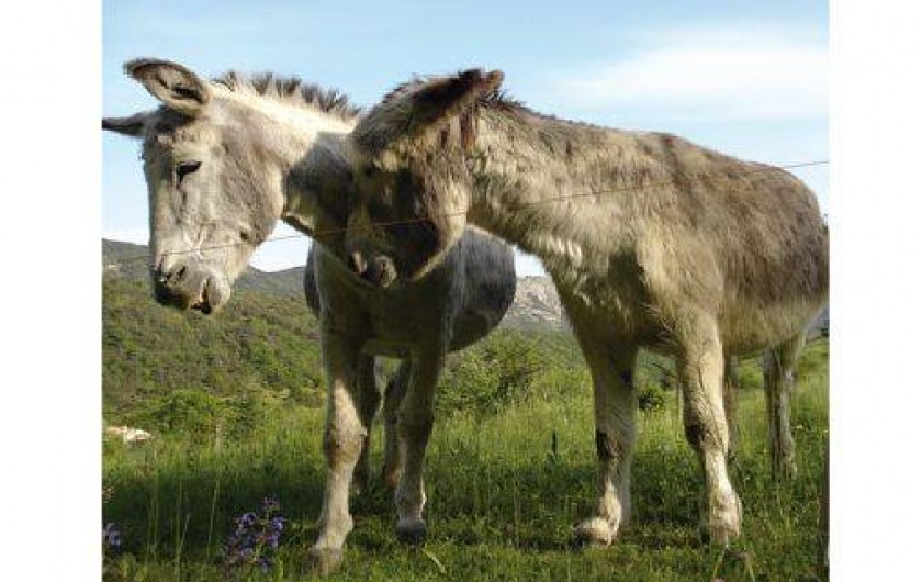 Location de vacances - Mas à Eygluy-Escoulin