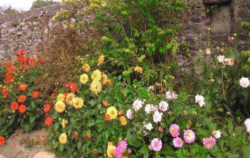 Location de vacances - Villa à Denneville