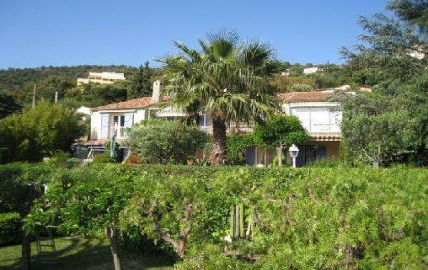 Location de vacances - Appartement à Le Lavandou