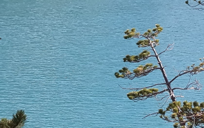 Location de vacances - Chalet à Castellane