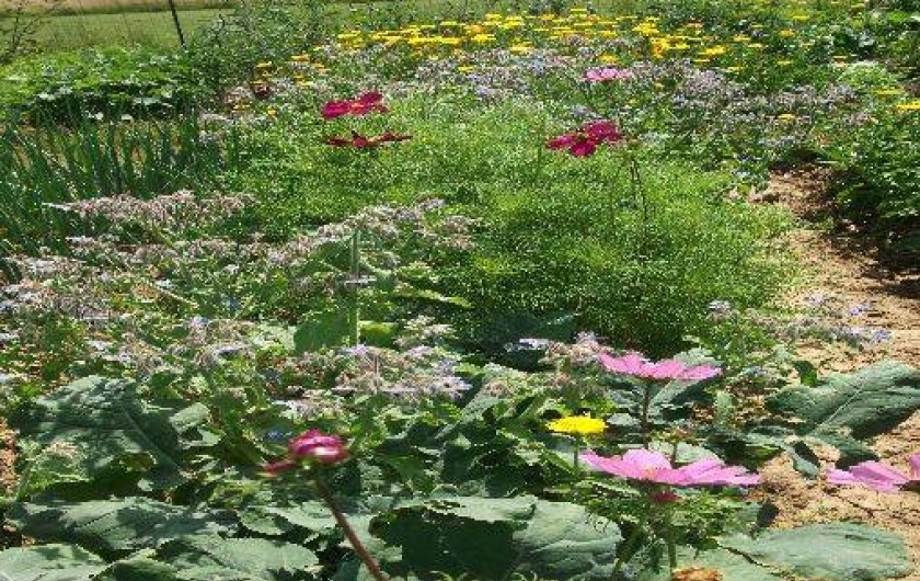 Location de vacances - Chalet à Foulenay