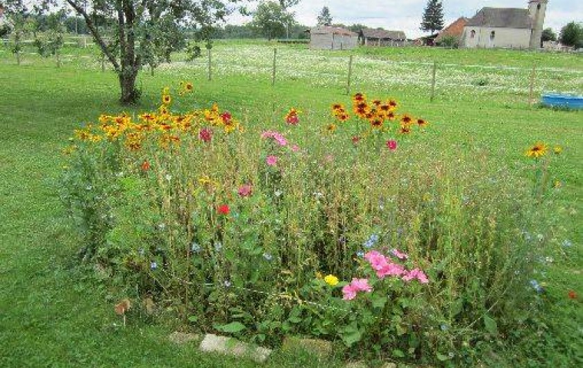 Location de vacances - Chalet à Foulenay